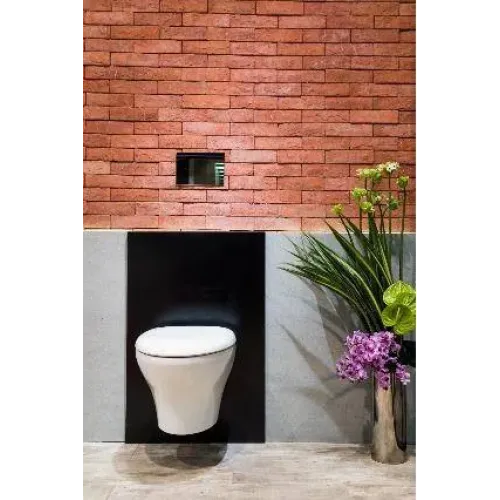 Комплект унитаза с инсталляцией Nouvelle Vague с глянцевой клавишей хром, с микролифтом, безободковый, быстросъемное, с кнопкой Set NOUVELLE VAGUE 29025 Jacob Delafon