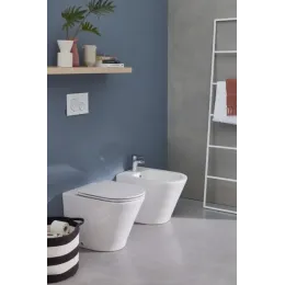 Приставной унитаз Rodin 36х56 см, универсальный выпуск, безободковый, без сиденья EDAA102-00 Jacob Delafon