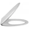 Сиденье для унитаза Odeon Up быстросъемное, тонкое, с микролифтом, термодюр, быстросъемное 8322K-00 Jacob Delafon