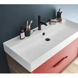 Подвесная раковина Vivienne 101х46,3х12 см, матовая, санфарфор EXBJ112-BCM Jacob Delafon