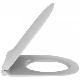 Сиденье для унитаза Rodin тонкое, термодюр, с микролифтом, быстросъемное E20141-00 Jacob Delafon
