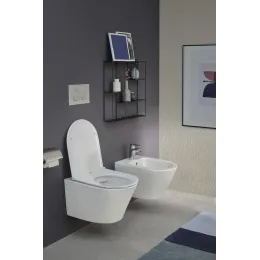 Биде Rodin+ 36х52,5 см, без обода, подвесное, без крышки EMJ0002-00 Jacob Delafon