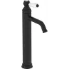 Высокий смеситель на столешницу Louise 21,9 см, матовый, неповоротный излив, чёрный цвет, без донного клапана E24361-BL Jacob Delafon