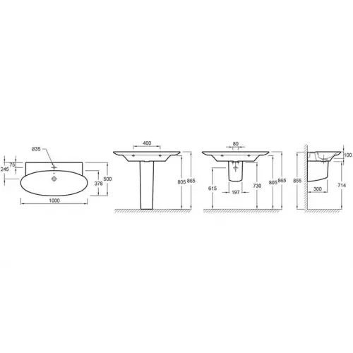 Подвесная раковина Presqu'ile 100х50х10 см, 1 отверстие для смесителя, санфарфор E4436-00 Jacob Delafon