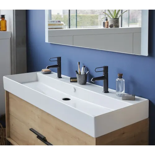 Подвесная раковина Vivienne 120х46,6х12 см, 1 чаша, матовая, санфарфор, двойная EXBK112-BCM Jacob Delafon