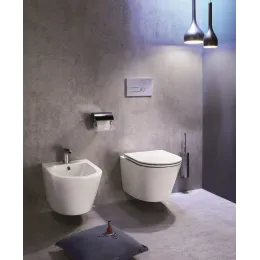 Биде Rodin+ 36х52,5 см, без обода, подвесное, без крышки EMJ0002-00 Jacob Delafon