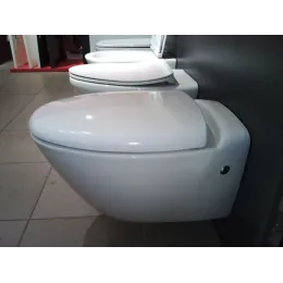 Подвесной унитаз Presqu'ile 38х55,5 см, выставочный образец, с сиденьем E4440-00/У Jacob Delafon