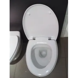 Подвесной унитаз Presqu'ile 38х55,5 см, выставочный образец, с сиденьем E4440-00/У Jacob Delafon