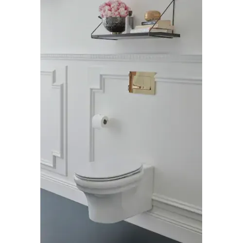 Подвесной унитаз Cleo 1889 37х54 см, безободковый, без сиденья EDZ102-0 Jacob Delafon