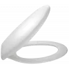 Сиденье для унитаза Brive полипропилен E4357G-00 Jacob Delafon