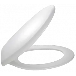 Сиденье для унитаза Brive полипропилен E4357G-00 Jacob Delafon