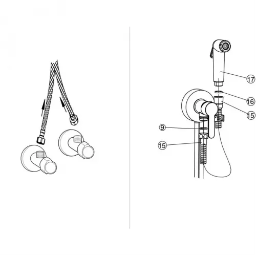 Накладной гигиенический душ PAINI Aosta внешний монтаж, хром (CR)