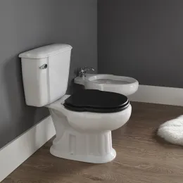 Унитаз-компакт Sanitana GRECIA крышка темная