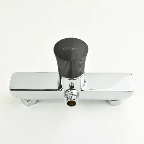 Смеситель для душа PAINI Domus без аксессуаров, хром (CR)