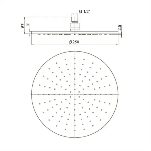 Верхний душ PAINI, круглый, латунь, 25 см, черный (YO)