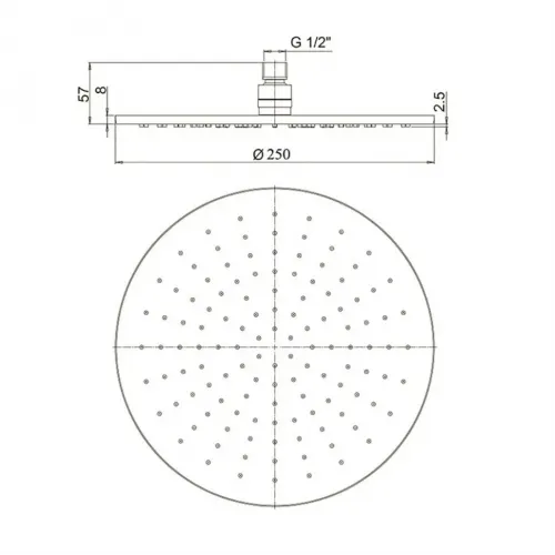Верхний душ PAINI 250 мм, круглая, хром (CR)