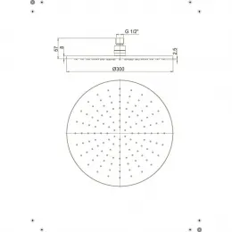 Верхний душ PAINI 300 мм, круглый, хром (CR)