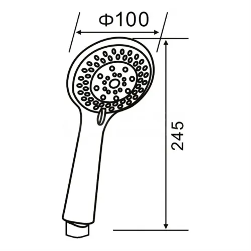 Душевая лейка ручная PAINI Monza, хром (CR)