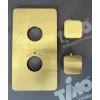 Timo. Душевая система встроенная с термостатом Petruma SX-5059/17SM Золото матовое