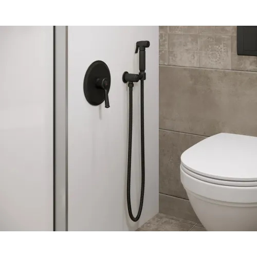 Timo. Смеситель встроенный с гигиеническим душем Arisa 5309/03SM Черный