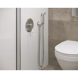 Timo. Смеситель встроенный с гигиеническим душем Arisa 5309/00SM Хром