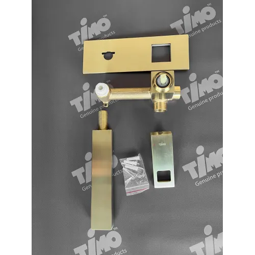 Timo. Смеситель для раковины встроенный Briana 7171/17SM Золото матовое