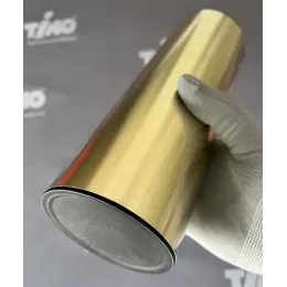 Timo. Щетка для туалета напольная Saona 13161/17 Золото матовое