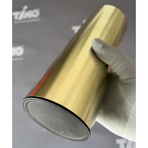 Timo. Щетка для туалета напольная Saona 13161/17 Золото матовое