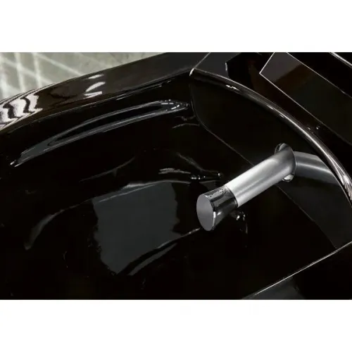 Унитаз-биде Villeroy & Boch ViClean V0E100S0