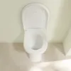 Villeroy & Boch ViCare Унитаз с открытым смывным краем с горизонтальным смывом (с полкой), напольный, Альпийский белый 4684R001
