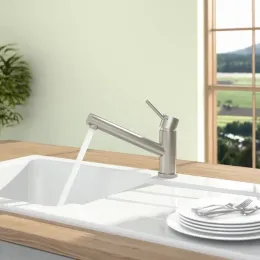 Villeroy & Boch Como Window Однорычажный смеситель для мойки Однорычажный смеситель для мойки, выкл Нержавеющая сталь, Сплошная нержавеющая сталь 925700LC
