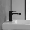 Смеситель Villeroy & Boch Architectura Square TVB125001000K5 для биде, черный матовый TVB125001000K5