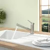 Villeroy & Boch Como Shower Однорычажный смеситель для мойки Однорычажный смеситель для мойки, выкл Нержавеющая сталь, Сплошная нержавеющая сталь 925200LC